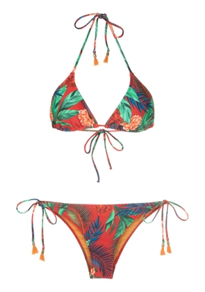 Lygia & Nanny Maya botanical-print triangle bikini - Red