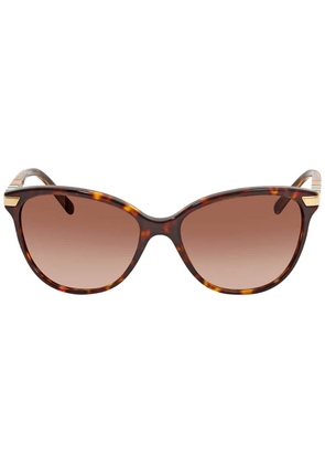 Burberry Regent Brown Gradient Cat Eye Ladies Sunglasses BE4216 300213 57