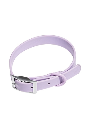 Wild One Extra Large Collar in Lavender.