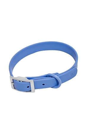 Wild One Extra Small Collar in Blue.