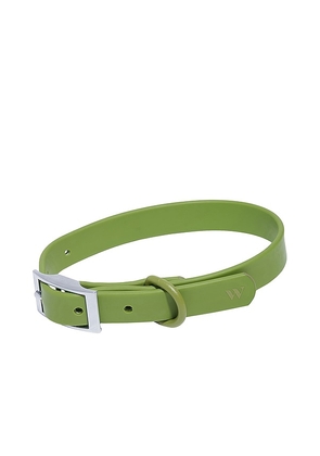Wild One Extra Large Collar in Olive.