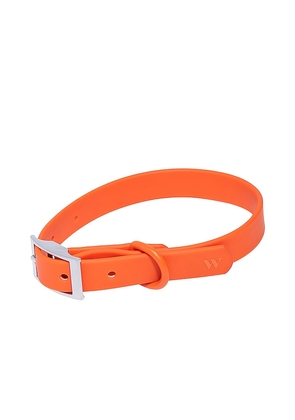 Wild One x REVOLVE Medium Collar in Burnt Orange.
