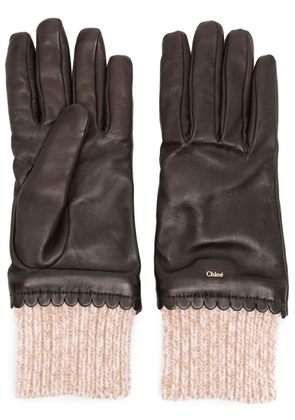 Chloé Jamie logo-lettering leather gloves - Brown