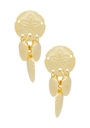 Elizabeth Cole Perlette Earrings in Metallic Gold.