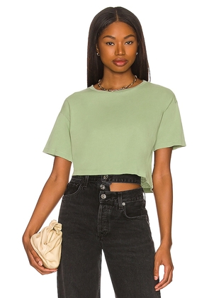 Tularosa Green The Bay Tee Shirt in Sage. Size XL, XS.