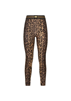Dolce & Gabbana Leopard Print High-Rise Leggings