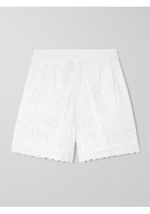 Saloni - Paige Scalloped Broderie Anglaise Cotton Shorts - White - UK 4,UK 6,UK 8,UK 10,UK 12,UK 14,UK 16