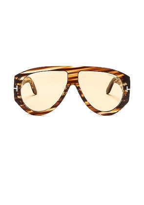 TOM FORD Bronson Sunglasses in Shiny Striped Havana - Brown. Size all.