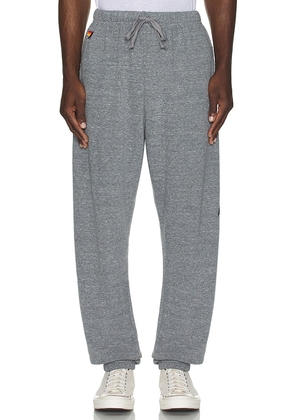 Aviator Nation Bolt Mens Sweatpant in Grey. Size M, S, XL/1X.