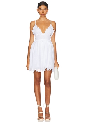 PQ Beatrice Dress in White. Size XS-S.