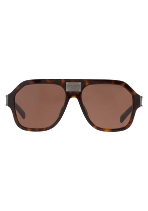 Dolce and Gabbana Dark Brown Pilot Mens Sunglasses DG4433F 502/73 58