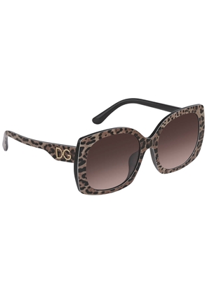 Dolce And Gabbana Brown Gradient Dark Brown Square Ladies Sunglasses DG4385F 316313 58