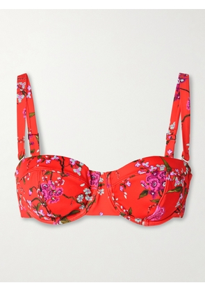 Erdem - Floral-print Underwired Bikini Top - small,medium,large