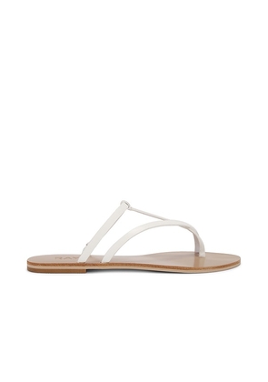 RAYE Pina Sandal in White. Size 5.5, 6, 6.5, 7, 7.5, 8, 9.