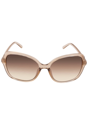 Calvin Klein Brown Gradient Butterfly Ladies Sunglasses CK19561S 270 57