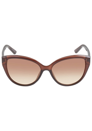 Calvin Klein Brown Gradient Cat Eye Ladies Sunglasses CK19536S 210 55