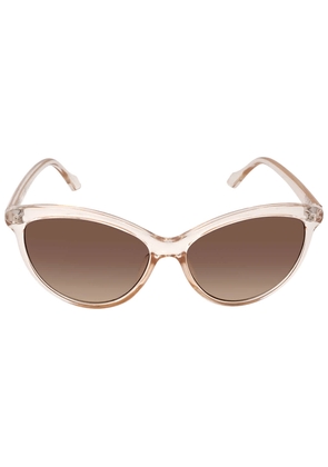 Calvin Klein Brown Cat Eye Ladies Sunglasses CK19534S 270 58