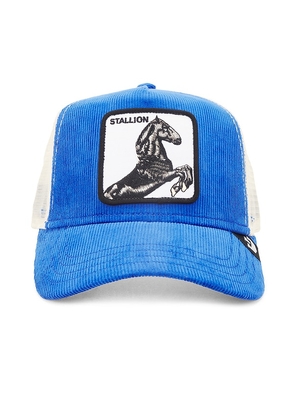 Goorin Brothers Sly Stallion Hat in Blue.