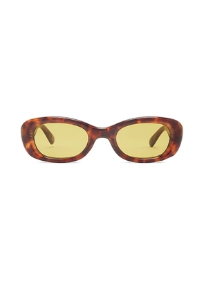 AIRE Calisto Sunglasses in Brown.