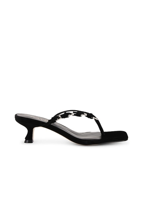 RAYE Babee Sandal in Black. Size 5.5, 6, 6.5, 7, 7.5, 8, 8.5, 9, 9.5.