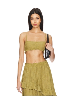 WeWoreWhat Lace Bralette in Green. Size M, S, XL, XS, XXS.