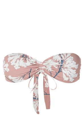 Clube Bossa Percy floral-print bikini top - Brown