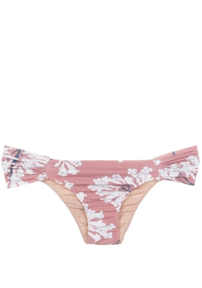 Clube Bossa Ricy floral-print bikini bottoms - Brown