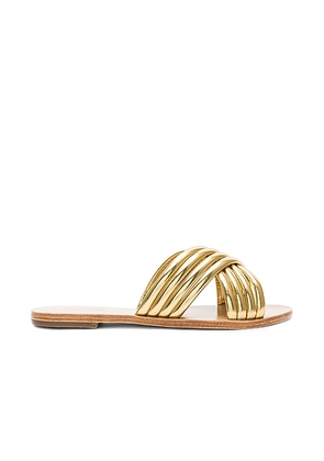 RAYE Ziggy Sandal in Metallic Gold. Size 6, 7, 7.5, 8, 9.5.