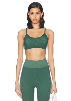 THE UPSIDE Ribbed Seamless Ballet Bra in Pine & Matcha - Green. Size L (also in M, S, XS).