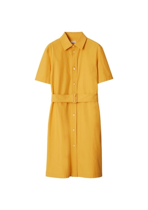 Burberry Cotton-Blend Ekd Shirt Dress