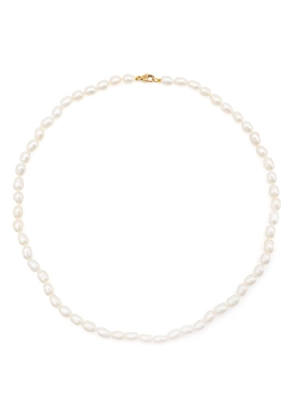 Adina Reyter 14kt yellow gold Chunky Seed pearl necklace - White
