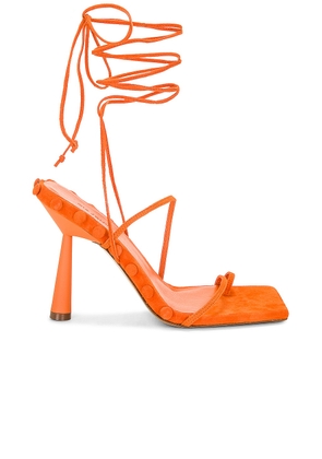 GIA BORGHINI x RHW Tall Lace Up Sandal in Orange - Orange. Size 36 (also in ).