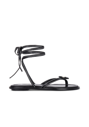 Helsa Lace Up Sandal in Black - Black. Size 35.5 (also in 35, 36.5).