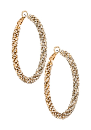 Ettika Crystal Hoop Earrings in Metallic Gold.