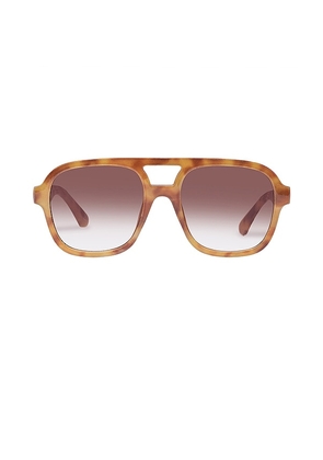AIRE Whirlpool Sunglasses in Brown.