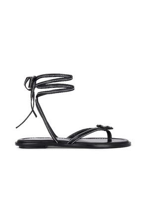 Helsa Lace Up Sandal in Black. Size 36, 36.5.
