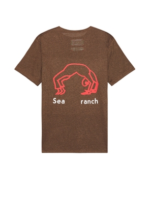 District Vision Hemp T Shirt in Cacao - Brown. Size L (also in M, S, XL/1X).