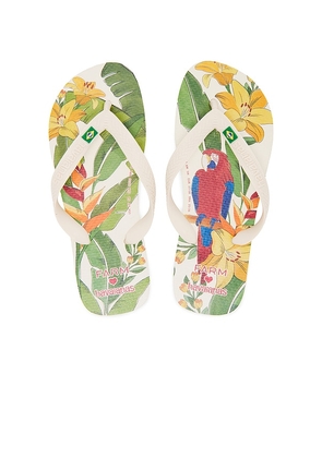 Havaianas Farm Rio Parrot and Floral Sandal in Cream. Size 37/38, 39/40, 41/42.