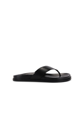 Tony Bianco Loop Sandal in Black. Size 37, 38, 39, 40, 41.