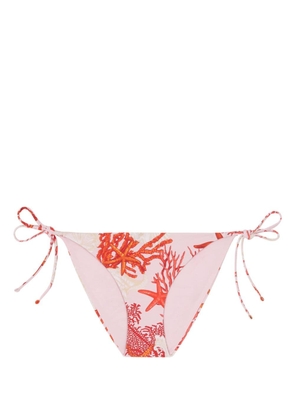 Versace Barocco Sea bikini bottoms - Red