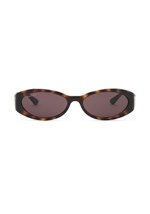 Gucci Hailey Oval Sunglasses in Brown.