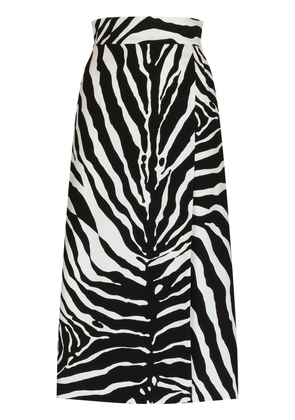 Dolce & Gabbana Cady zebra print midi skirt - Black