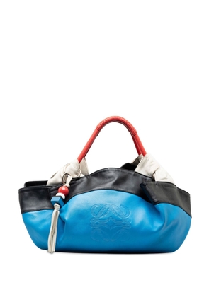 Loewe Pre-Owned 2010-2023 Multicolor Nappa Aire handbag - Blue