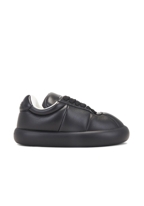 Marni Sneakers in Black - Black. Size 41 (also in 42, 43, 44).