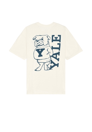 SIXTHREESEVEN Yale Bulldog Tee in Sand - Beige. Size M (also in L, S, XL/1X, XS).