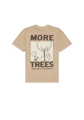 SIXTHREESEVEN Peanuts More Trees Tee in Brown. Size L, S, XL/1X, XS.