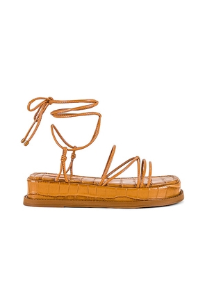 Schutz Athena Flat Sandal in Brown. Size 8, 8.5, 9.5.