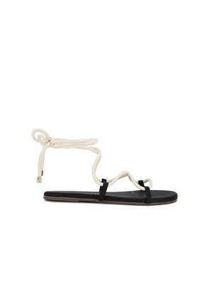 TKEES Petra Sandal in Black. Size 6, 7, 8, 9.