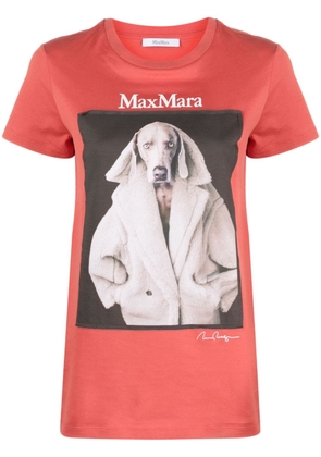 Max Mara Valido graphic-print cotton T-shirt - Orange