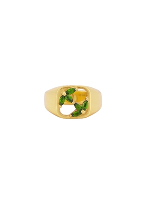 MAPLE 3am Signet Ring in 14K Gold Plated - Metallic Gold. Size 11 (also in 10, 9).